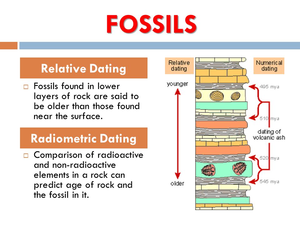 radiometric dating exercises